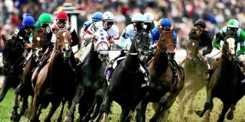 Một số câu hỏi thường gặp ở sân chơi online