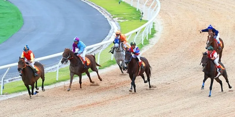Cá cược đua ngựa online theo kèo đôi và kèo ba