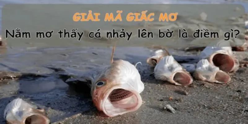 Thông tin giải mã giấc mơ thấy cá liên quan