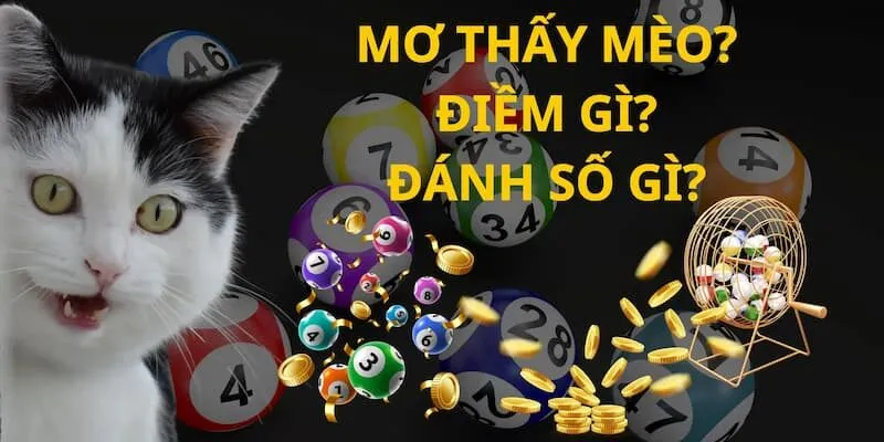 Giải Mã Giấc Mơ Thấy Mèo? Đánh Đề Con Gì? 6 Bỏ túi ngay các con số may mắn khi nằm mộng thấy mèo