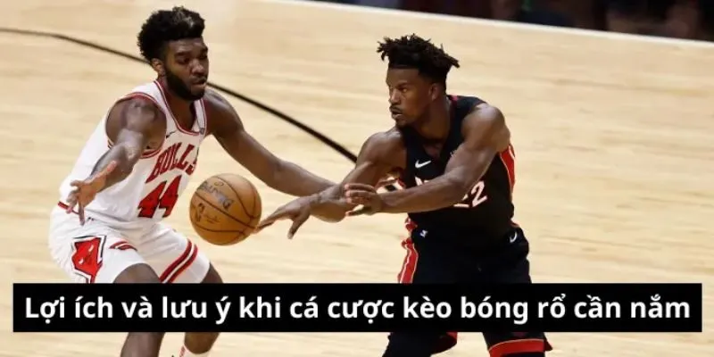 Bạn cần lưu ý những điều gì khi cá cược bóng rồ