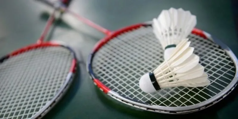 Top 5 kèo cầu lông được ưa chuộng tại sân chơi