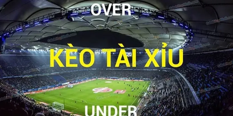 Hướng dẫn cách đọc các loại kèo cược tài xỉu