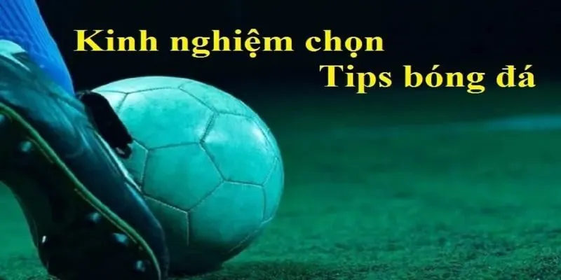 Tips Bóng Đá Là Gì? Những Bí Quyết Giúp Bạn Thắng Kèo Nhanh 4 Nắm rõ luật chơi cá độ bóng đá